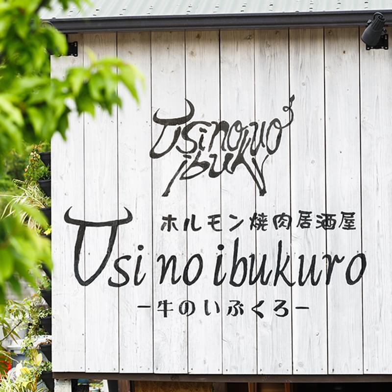 ホルモン焼肉居酒屋Usinoibukuro